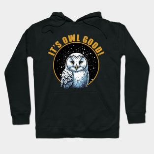 Winter Nights Snowy Owl Hoodie